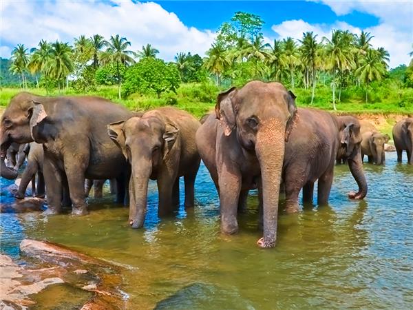 Adventure vacation to Sri Lanka