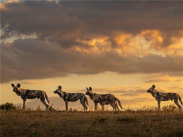 Southern Africa overland vacation
