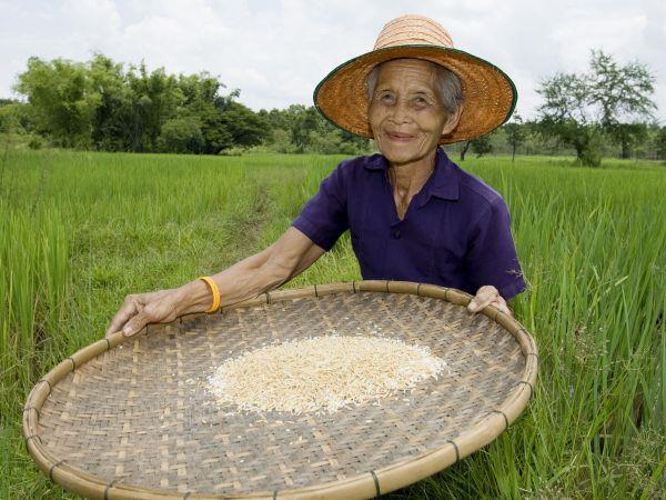 Vietnam small group explorer vacation