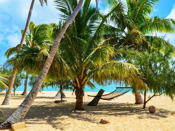 Budget Tonga vacation, swim with humpback whales