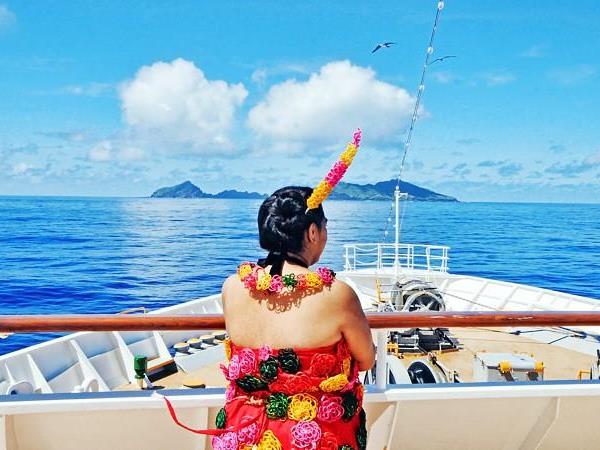 Budget Tonga vacation, swim with humpback whales