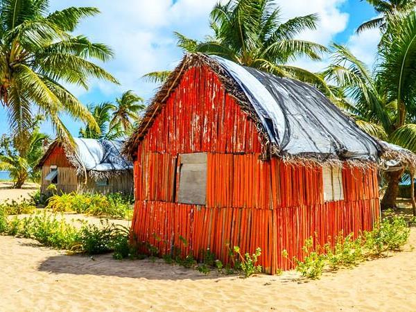 Budget Tonga vacation, swim with humpback whales