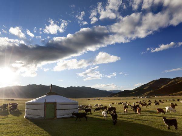 Mongolia tour, land of the great Khan 