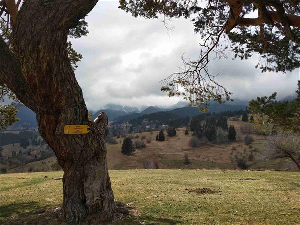 Rhodope Mountains hiking vacation in Bulgaria