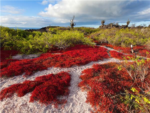 Island hopping vacationin the Galapagos