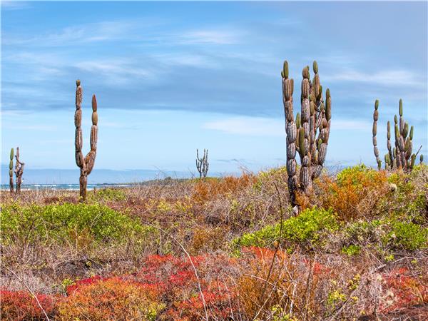 Island hopping vacationin the Galapagos