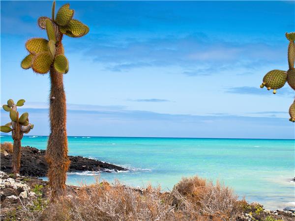 Island hopping vacationin the Galapagos