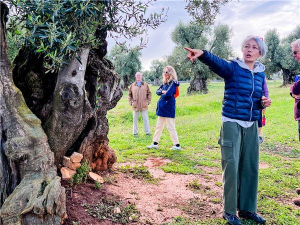Puglia small group tour, Italy