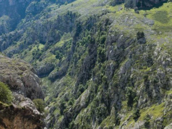 Walking in the Picos de Europa vacation