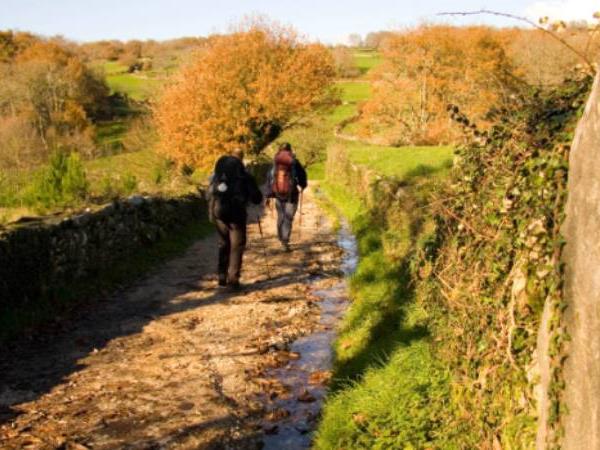 Best of the Camino walking vacation