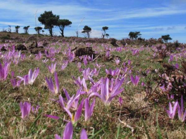 Best of the Camino walking vacation