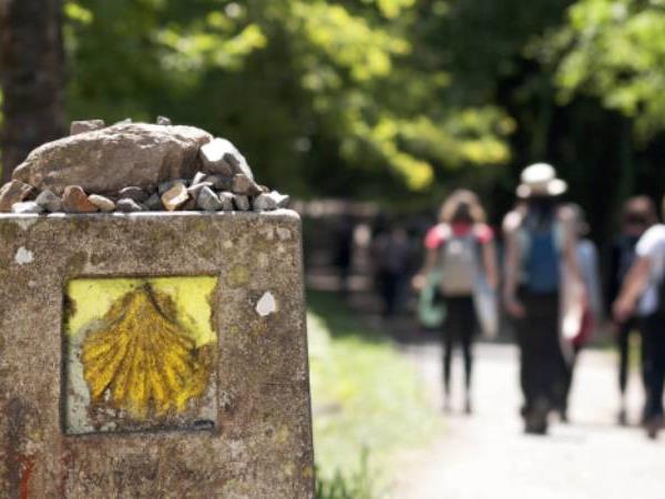 Best of the Camino walking vacation