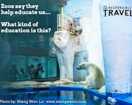 Say no to zoos