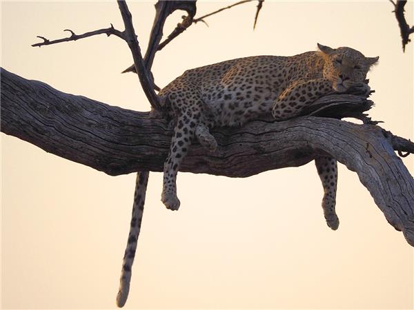 Tanzania biking vacation, explore by bike
