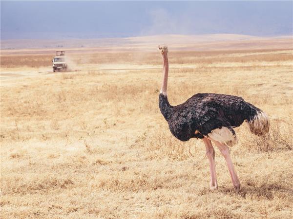 Tanzania biking vacation, explore by bike