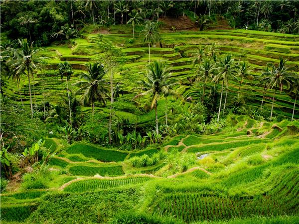 Indonesia biking vacation, Bali and Java