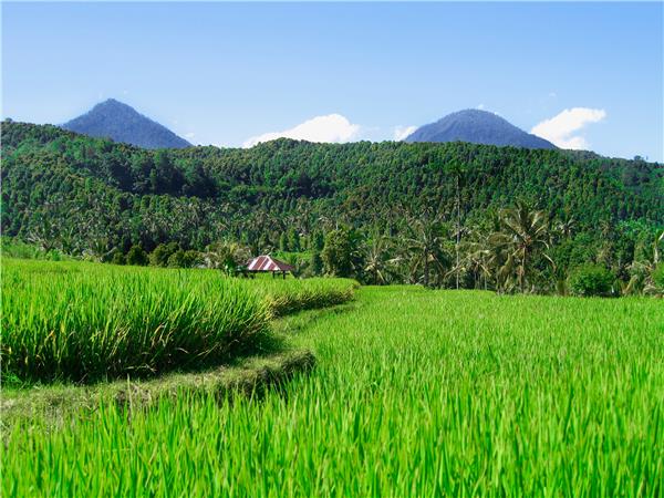 Indonesia biking vacation, Bali and Java