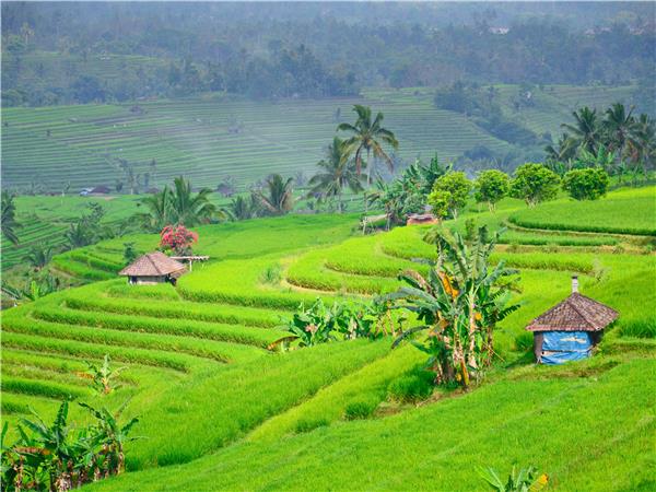 Indonesia biking vacation, Bali and Java