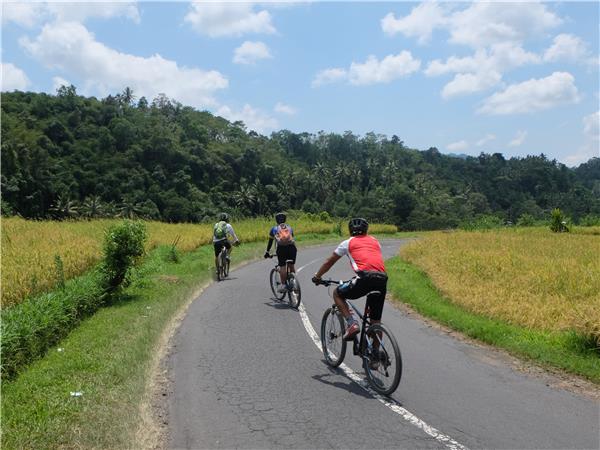 Indonesia biking vacation, Bali and Java