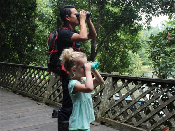 Borneo family vacation to see Orangutans