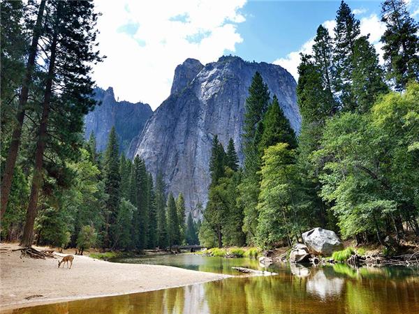 California National Parks small group tour