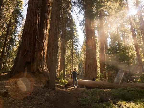 California National Parks small group tour