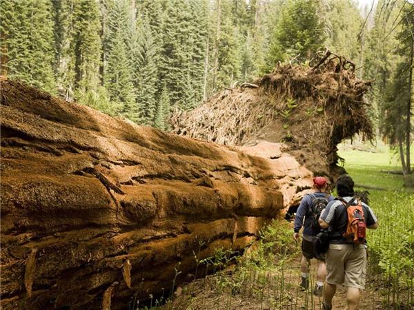 California National Parks small group tour