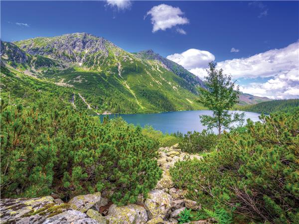 Vienna to Budapest tour