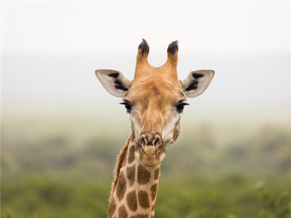 Premium Botswana small group vacation