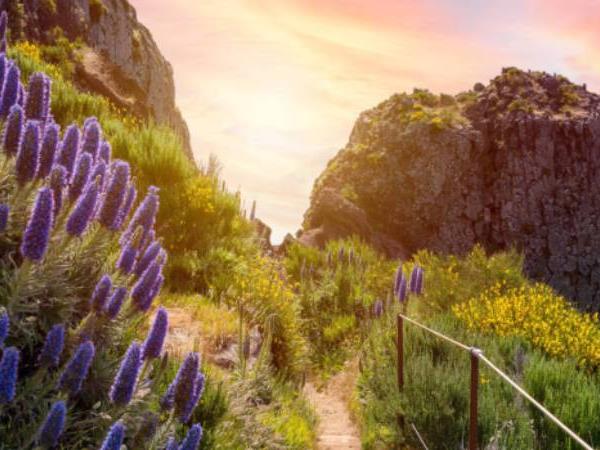 Madeira walking tour, private departure