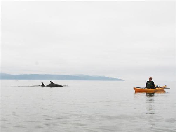 Sea kayaking vacation in Scotland