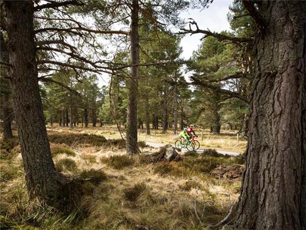 Road cycling in Scotland National Parks