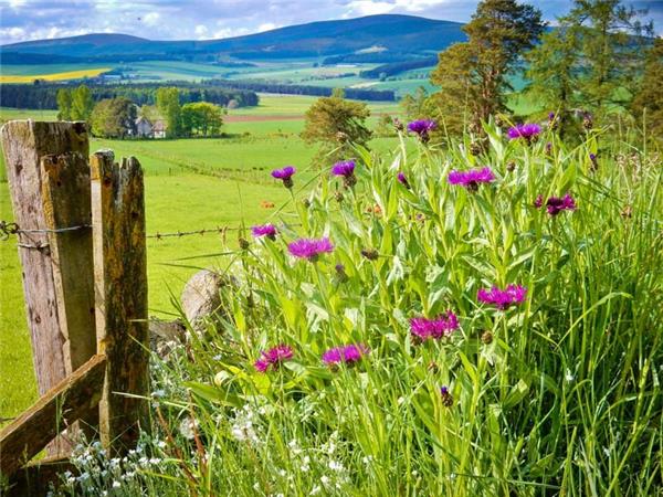 Road cycling in Scotland National Parks