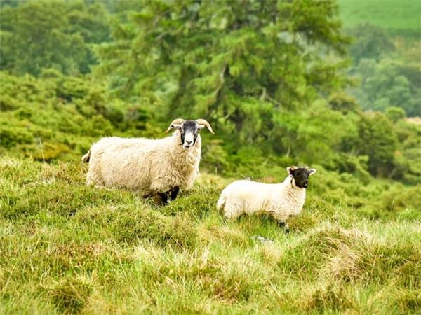Road cycling in Scotland National Parks