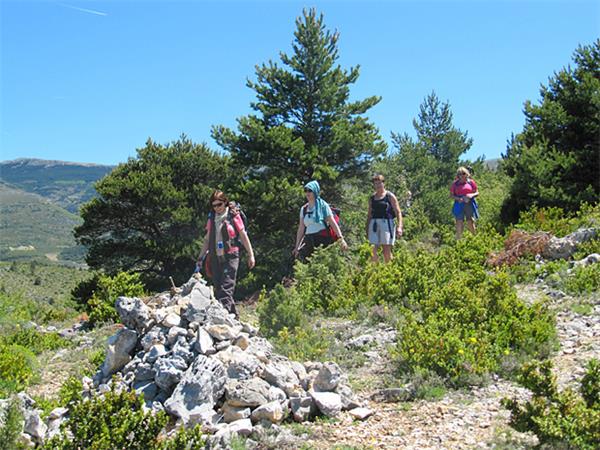 Highlights of Provence walking vacation, France