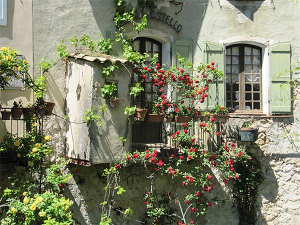 Highlights of Provence walking vacation, France