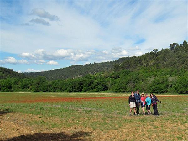 Highlights of Provence walking vacation, France