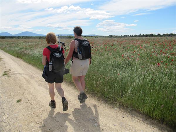Highlights of Provence walking vacation, France