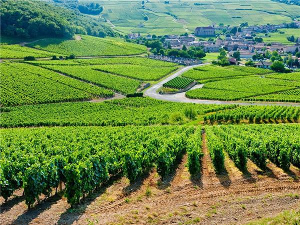 Loire Valley walking and wine vacation
