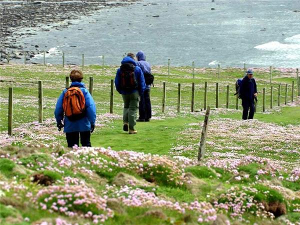 Orkney Isles walking vacation, small group