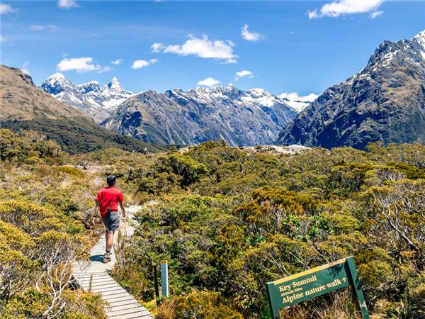 New Zealand hiking vacation small group