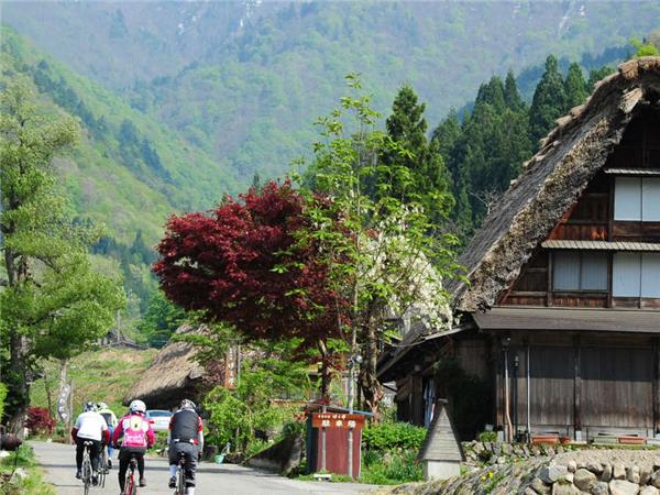 Japan cycling vacation, small group