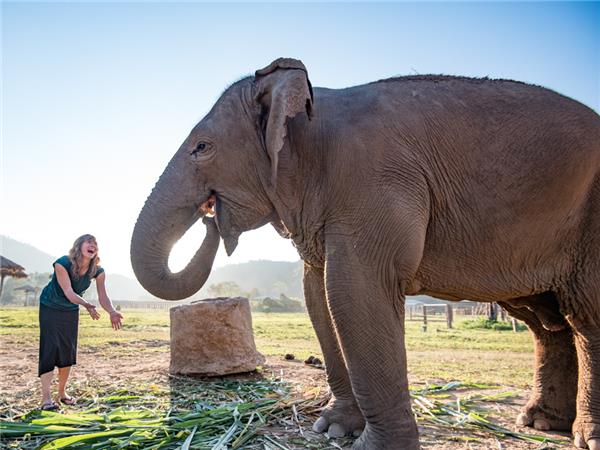 Laos and Thailand budget tour 18-35s