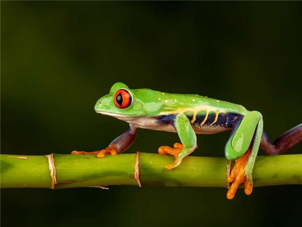 Coast to Coast vacation in Costa Rica