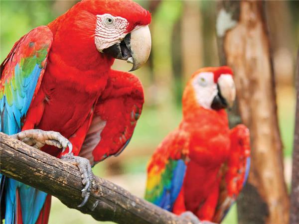 Coast to Coast vacation in Costa Rica