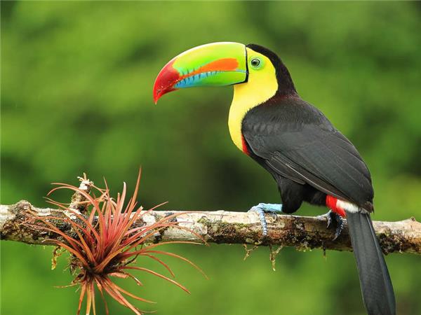 Coast to Coast vacation in Costa Rica
