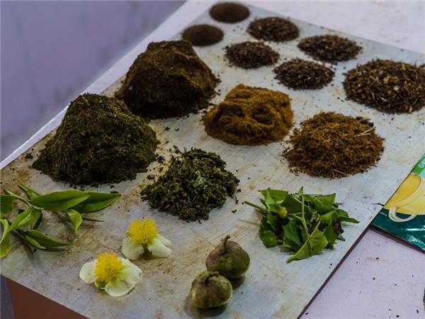South india food tour