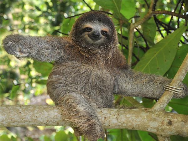 Premium Costa Rica small group tour