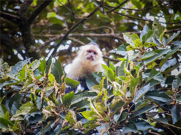 Premium Costa Rica small group tour