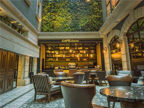 Mexico City to Oaxaca tour with added comfort